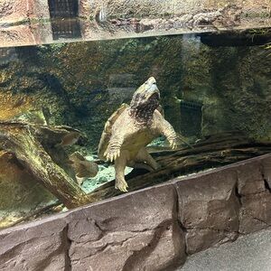 1/10/26: Not for sale: delayed shipping info